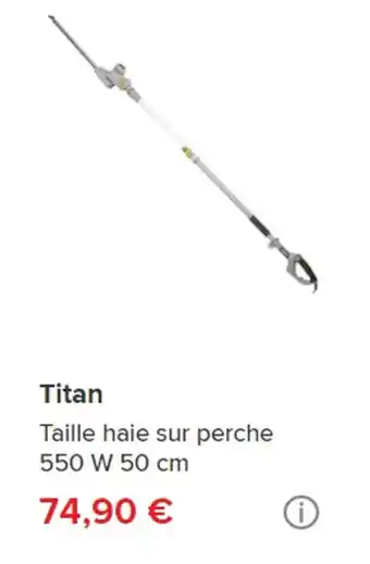 Brico Dépôt Titan Taille haie sur perche 550 W 50 cm offre