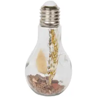 Action Ampoule décorative avec led offre