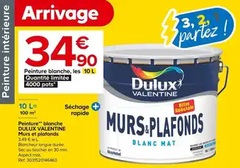 Castorama Peinture blanche, les 10 L Quantité limitée 4000 pots* offre
