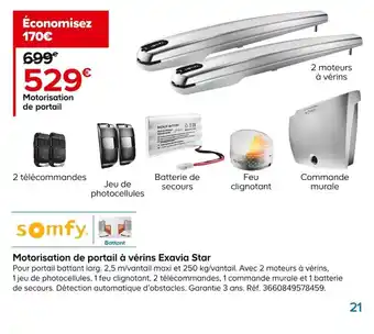 Motorisation de portail à vérins Exavia Star