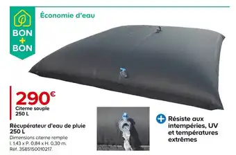 Castorama Récupérateur d'eau de pluie 250 L offre