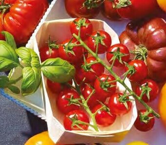 Lidl Tomates cerises (¹) offre