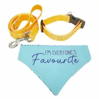 Set bandana, collier et laisse
