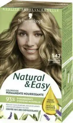 Géant Casino Coloration Natural & Easy 542 Blond Clair Cendré offre