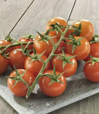 Géant Casino Tomate cocktail grappe sans résidu de pesticides offre