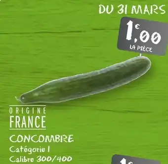 G20 Concombre offre