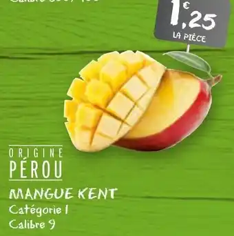 G20 Mangue Kent offre