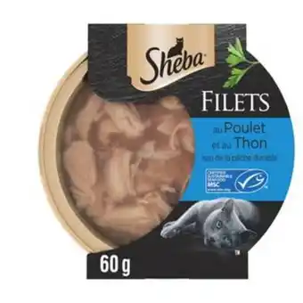 Repas pour chats adultes poulet et thon