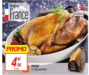 Pintade