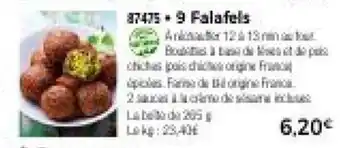 Thiriet 9 Falafels offre