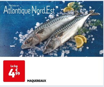 Auchan MAQUEREAUX offre