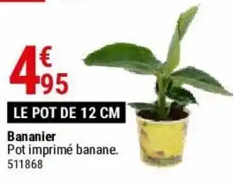 Gamm vert Bananier offre
