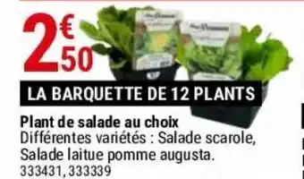 Gamm vert Plant de salade au choix offre