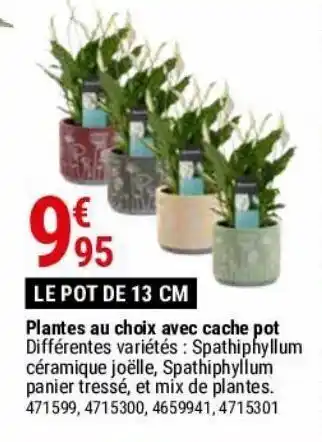 Gamm vert Plantes au choix avec cache pot offre