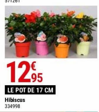 Gamm vert Hibiscus offre