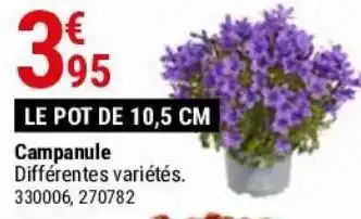 Campanule