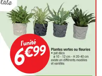 Cora x Carrefour Plantes Vertes ou Fleuries offre