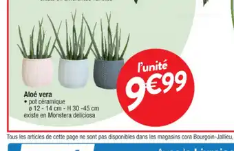 Cora x Carrefour Aloè Vera offre
