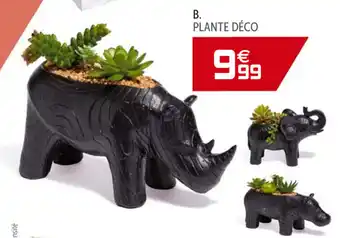 Gifi Plante Déco offre