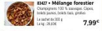 Mélange forestier