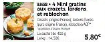 Thiriet 4 Mini gratins aux crozets, lardons et reblochon offre