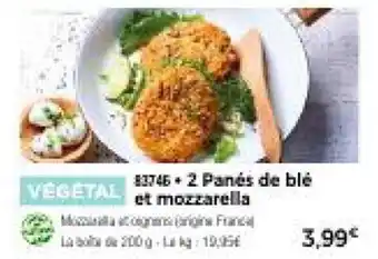 Thiriet 2 Panés de blé et mozzarella offre