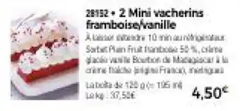 Thiriet 2 Mini vacherins framboise/vanille offre