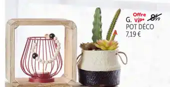 Gifi Pot Déco offre