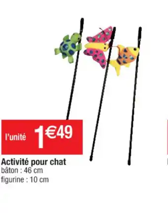 Cora x Carrefour Activitè Pour Chat offre