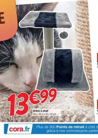 Cora x Carrefour Arbre A Chat offre