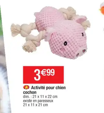 Cora x Carrefour Activitè Pour Chien Cochon offre