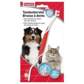 Brosse à dents haleine fraîche chien et chat