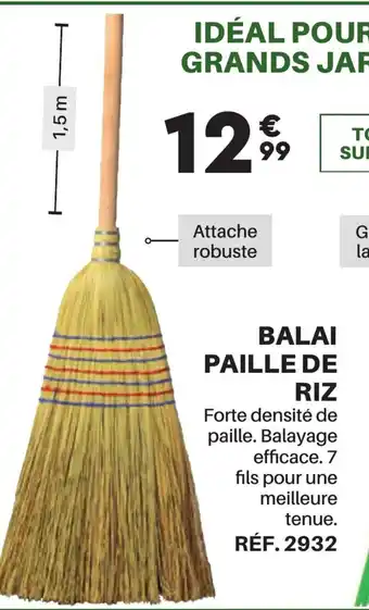 Shopix BALAI PAILLE DE RIZ offre