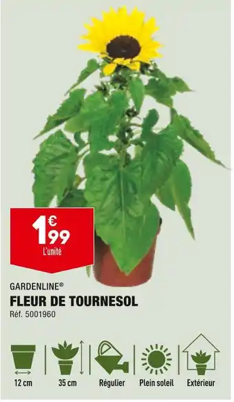 ALDI Gardenline fleur de tournesol offre