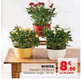 Hyper U Rosier offre