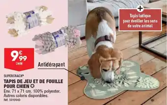 ALDI TAPIS DE JEU ET DE FOUILLE POUR CHIEN offre