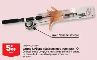 ALDI CANNE À PÊCHE TÉLÉSCOPIQUE POUR CHAT offre
