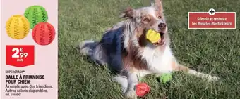 ALDI BALLE À FRIANDISE POUR CHIEN offre