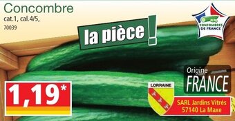 Norma Concombre offre