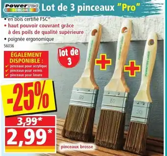 Norma Lot de 3 pinceaux "Pro" offre