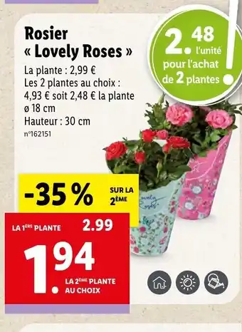 Lidl Rosier << Lovely Roses » offre