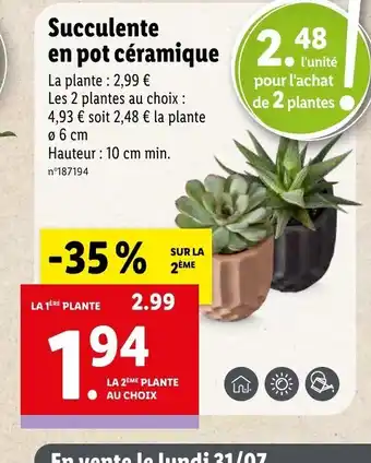 Lidl Succulente en pot céramique 2.48 offre