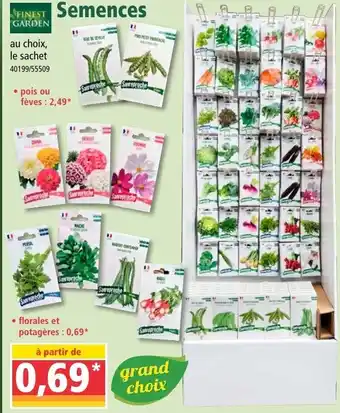 Norma Semences offre