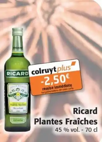 Colruyt Ricard Plantes Fraîches offre