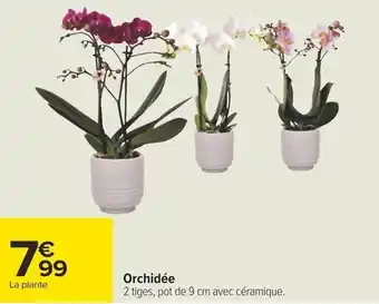 Carrefour Orchidée offre