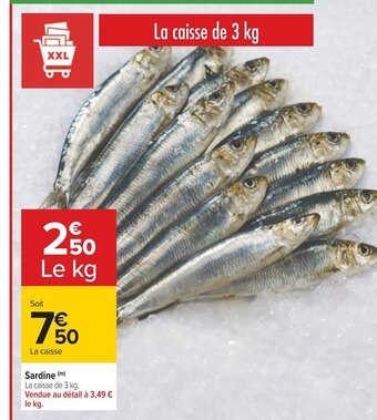 Carrefour Sardine offre