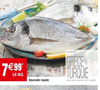 Cora x Carrefour Daurade royale offre