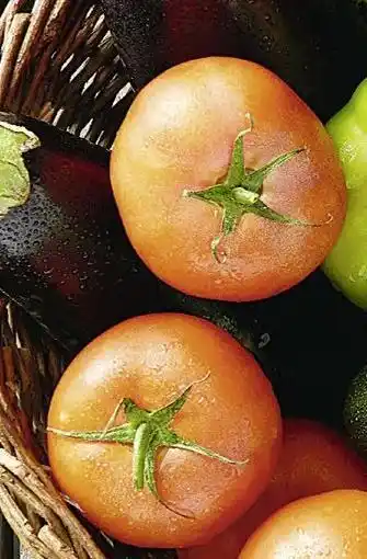 Casino Supermarchés Tomate allongée torino offre