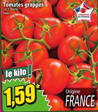 Norma Tomates grappes offre