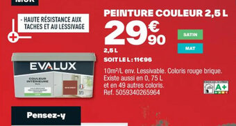 Brico Dépôt PEINTURE COULEUR 2,5 L offre